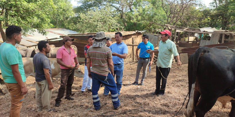 Protagonistas En San Pedro De Los Molinas San Marcos Avanzan En Su