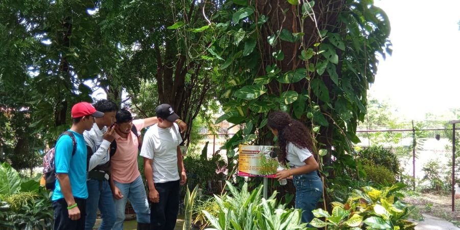 Arboretum Ernesto Miranda: Un Pequeño Pulmón Verde en el Centro Técnico Comandante Germán Pomares