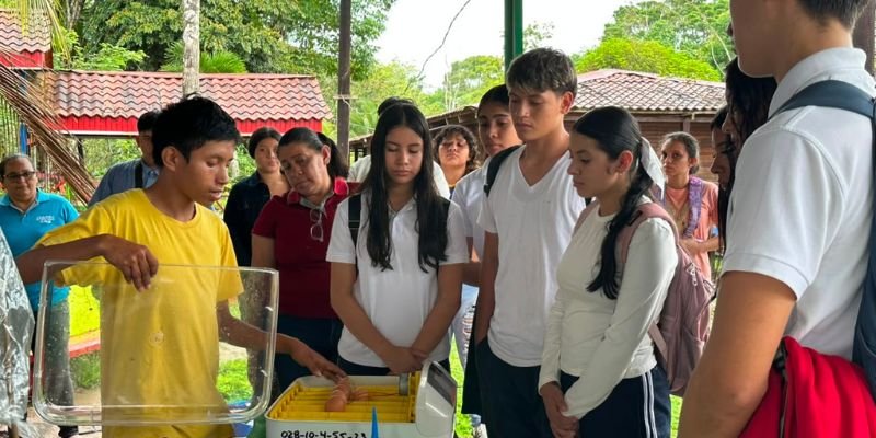 Compartiendo lo Aprendido: Una Feria Demostrativa que transforma la enseñanza