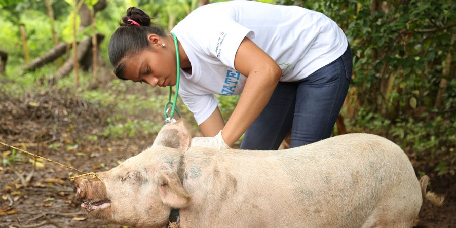 Futuros técnicos en veterinaria “comparten lo aprendido” en comunidades de Nandaime