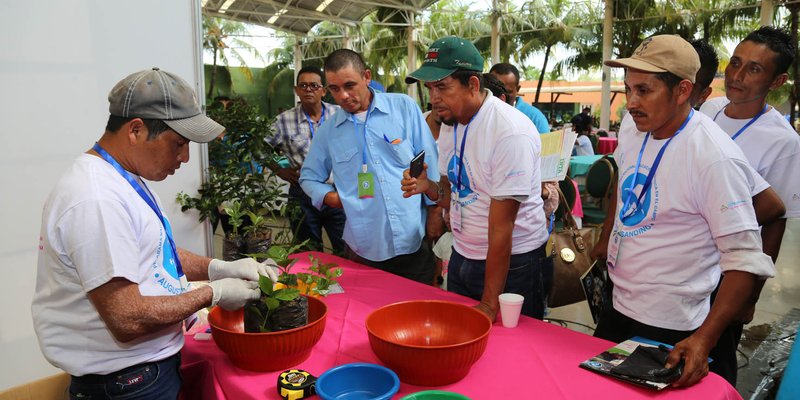 II Congreso Nacional de Educación Técnica en el Campo