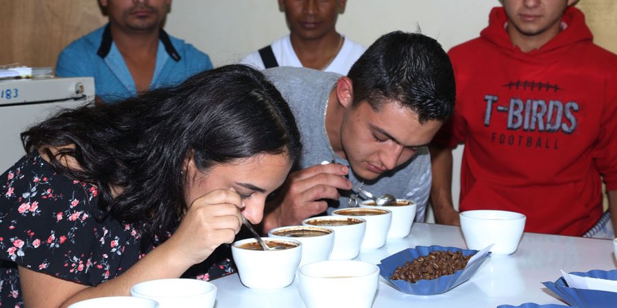 Así es como se realiza la Catación de Café