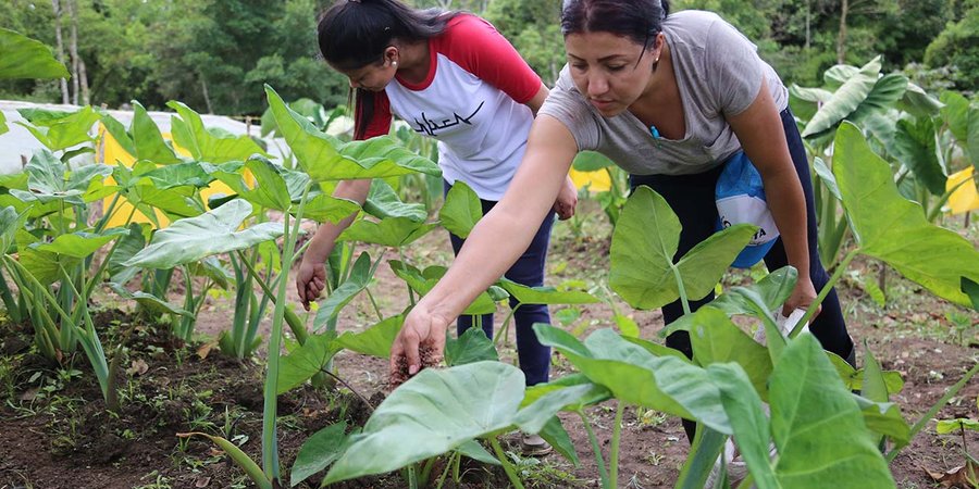 En el Tecnológico Nacional cuidamos a la “Madre Tierra”