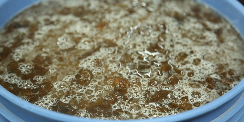 Personas No Videntes, aprenden a elaborar Vinos Naturales