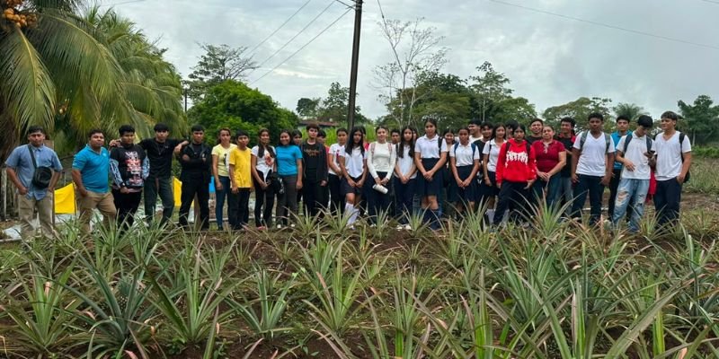 Compartiendo lo Aprendido: Una Feria Demostrativa que transforma la enseñanza