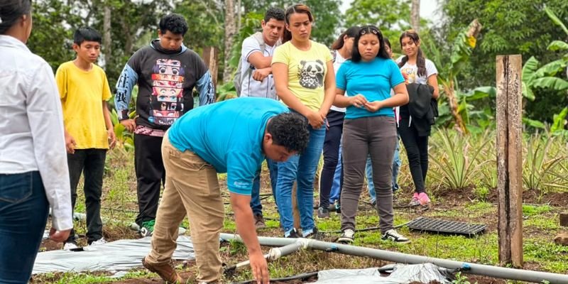 Compartiendo lo Aprendido: Una Feria Demostrativa que transforma la enseñanza