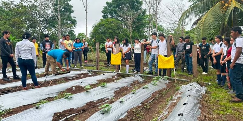 Compartiendo lo Aprendido: Una Feria Demostrativa que transforma la enseñanza