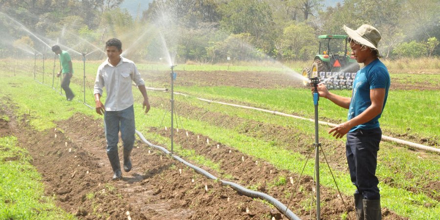 Perseguí tu Vocación Agrícola