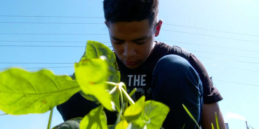 Estudiantes técnicos realizan  jornada de reforestación en Chinandega