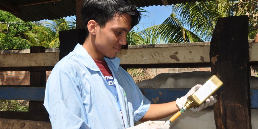 Tecnológicos del país se preparan  para recibir a estudiantes técnicos