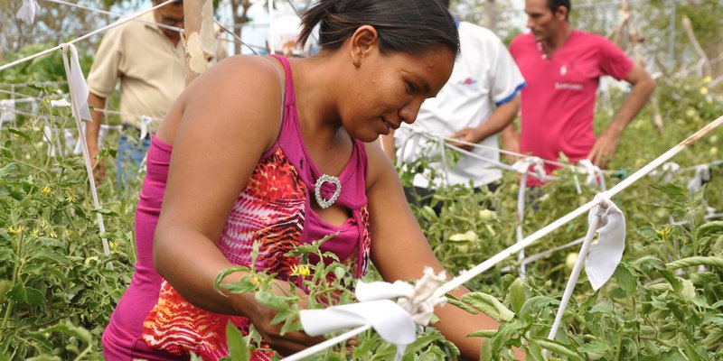 TECNacional - Educación y capacitación técnica para nuestros campesino