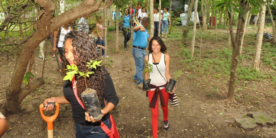 Conciencia verde en la educación técnica