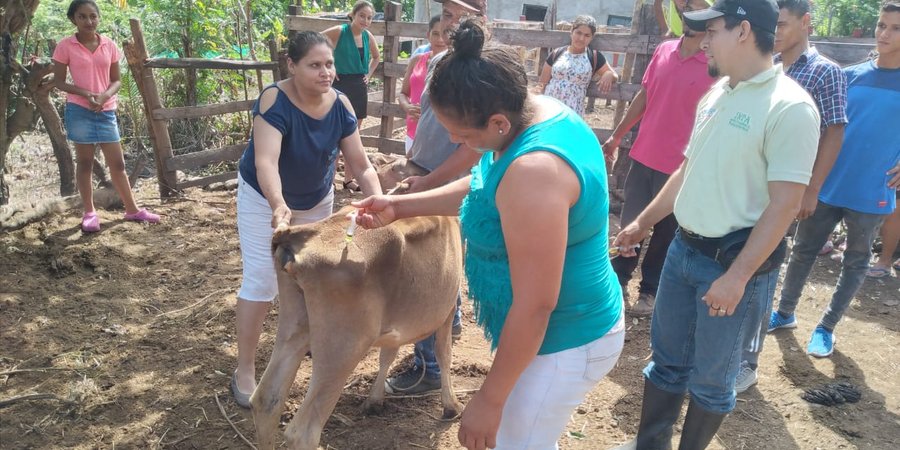 Avanza fortalecimiento de capacidades a productores a través de Escuelas Técnicas de Campo en Boaco