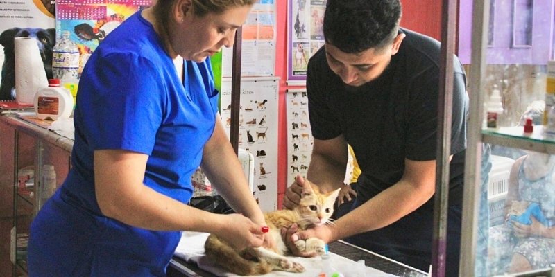 Manuel Landez Rojas Una fábrica de sueños cumplidos