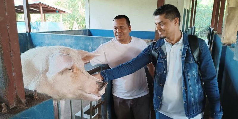 En tan solo 1 o 2 años puedes ser un técnico profesional