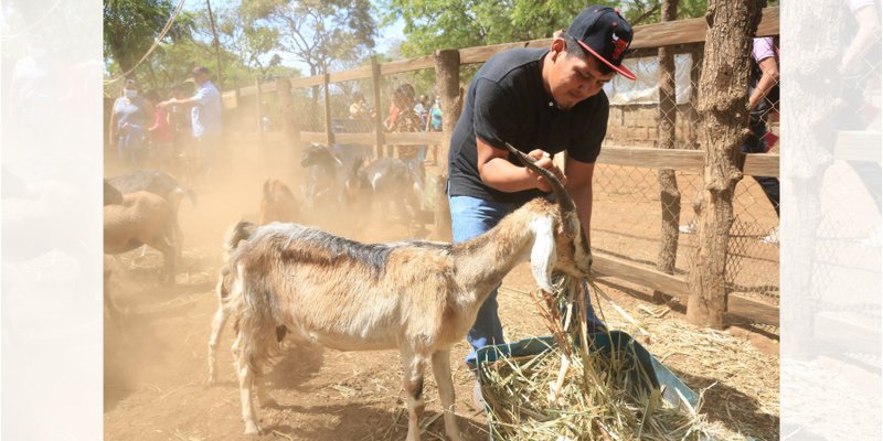 8,500 protagonistas inician clases de Educación Técnica en el Campo