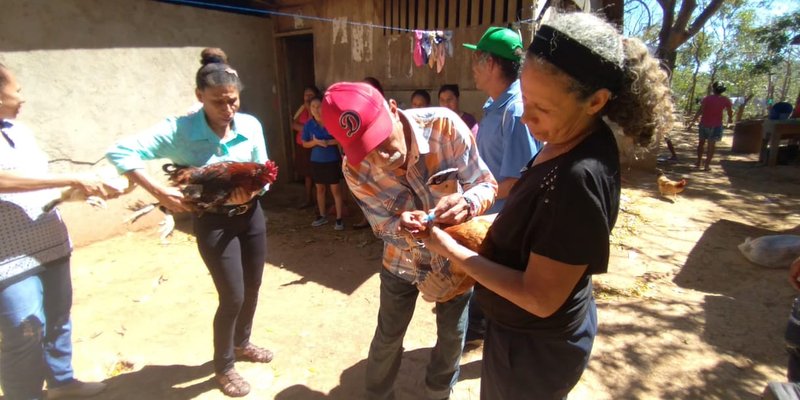 Producción agrícola mejora en Carazo gracias a la tecnificación de las Escuelas Técnicas de Campo