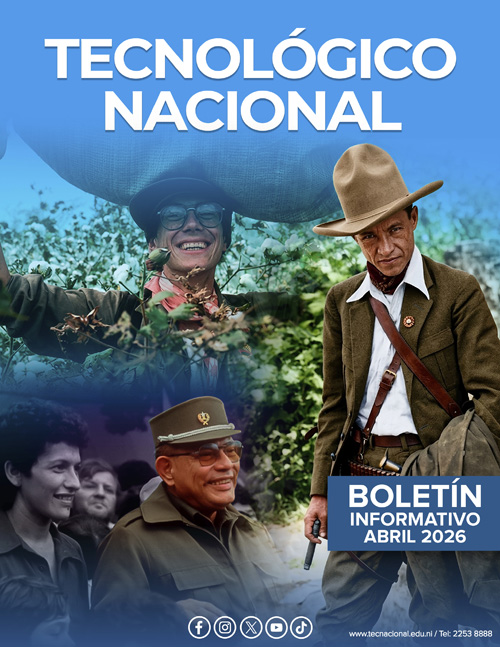 Boletin 317