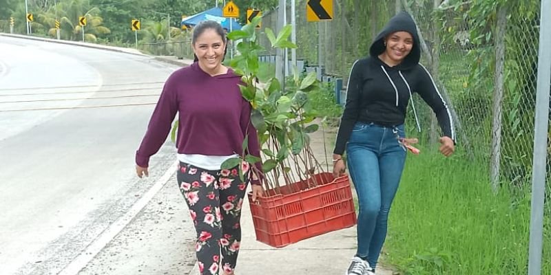 Sembrando Conciencia: Estudiantes Técnicos de Siuna realizan Jornada de Reforestación