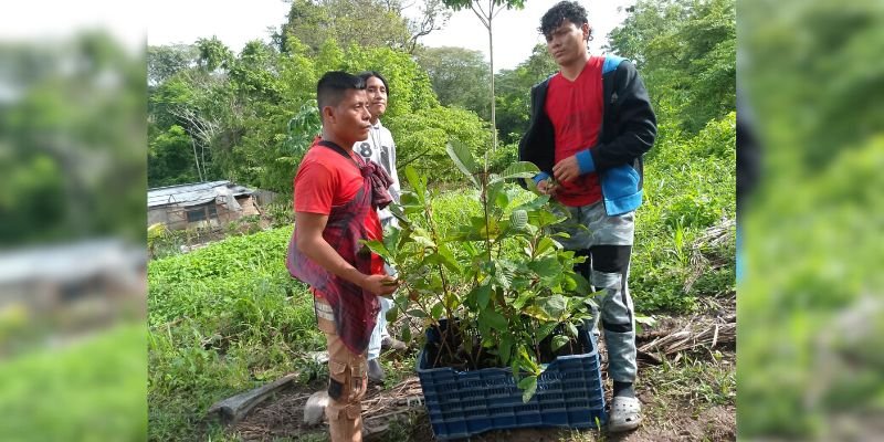 Sembrando Conciencia: Estudiantes Técnicos de Siuna realizan Jornada de Reforestación