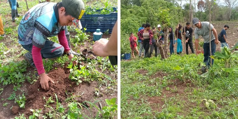 Sembrando Conciencia: Estudiantes Técnicos de Siuna realizan Jornada de Reforestación