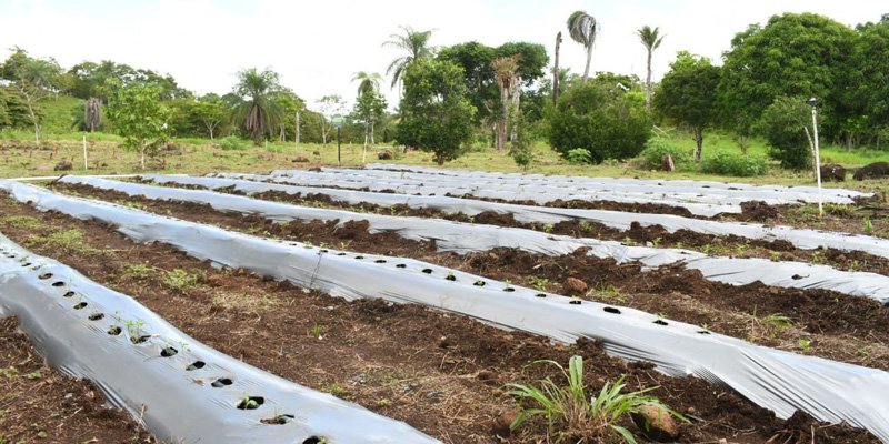 Gobierno Sandinista entrega Centro Tecnológico a comunidad de San Miguelito para la formación agropecuaria