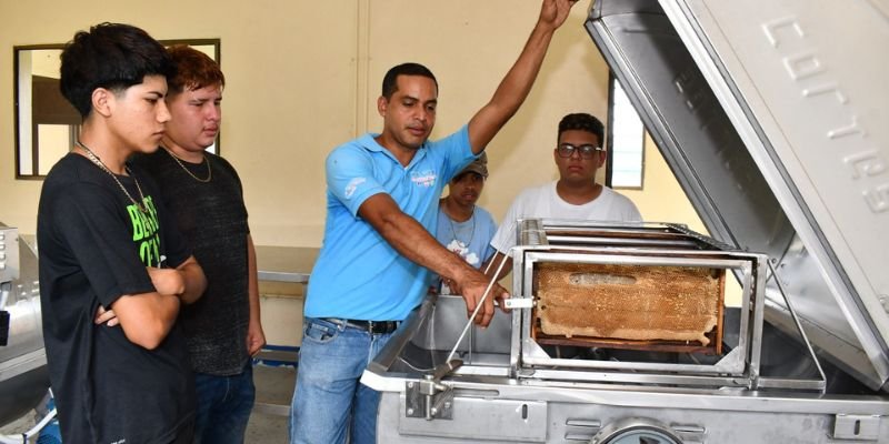 Compromiso y Pasión: La Invaluable Labor de los Docentes de Educación Técnica