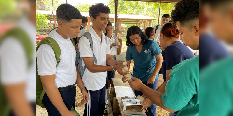 Intercambio de experiencias entre estudiantes técnicos, protagonistas de vocación productiva y escuelas de campo en Chinandega