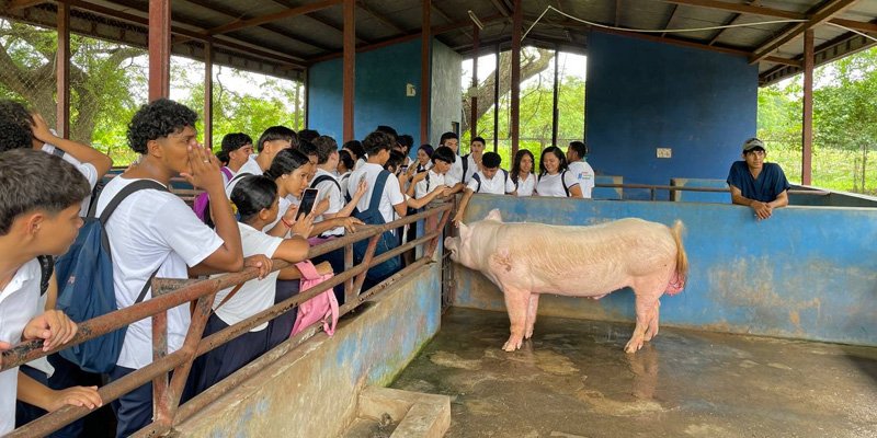 Intercambio de experiencias entre estudiantes técnicos, protagonistas de vocación productiva y escuelas de campo en Chinandega