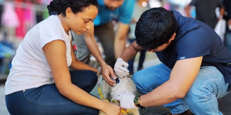 Festival Open Tech Agropecuario en Jalapa: Estudiantes proyectan sus aprendizajes al servicio de la comunidad