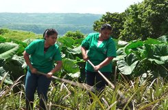 La Inspiradora Historia de Jesbeling y el Poder Transformador de la Educación Técnica Agropecuaria