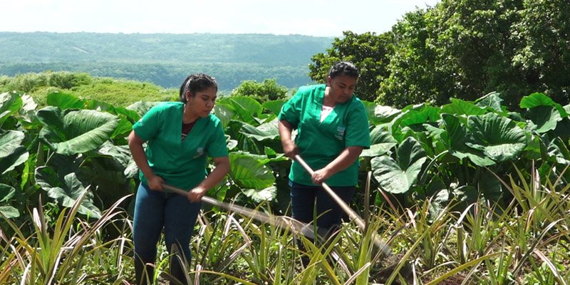 La Inspiradora Historia de Jesbeling y el Poder Transformador de la Educación Técnica Agropecuaria