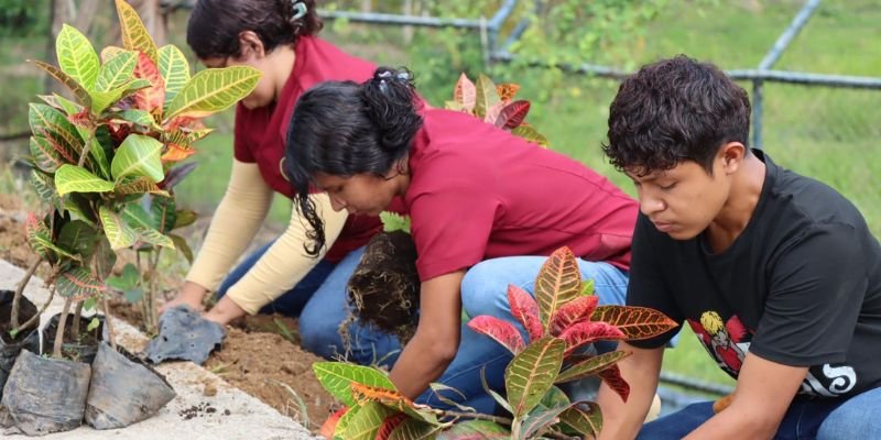 Estudiantes Técnicos protagonizan Jornada Nacional “Juventud Sembrando el Alma del País” en honor a la Madre Tierra