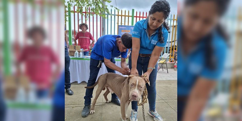 Cuidado Animal y Vocación de Servicio: Estudiantes Técnicos Comparten lo Aprendido