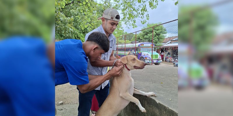 Cuidado Animal y Vocación de Servicio: Estudiantes Técnicos Comparten lo Aprendido