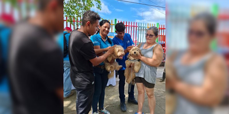 Cuidado Animal y Vocación de Servicio: Estudiantes Técnicos Comparten lo Aprendido