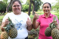 Más de 45,000 jóvenes y productores se capacitarán con el Programa Educación Técnica en el Campo