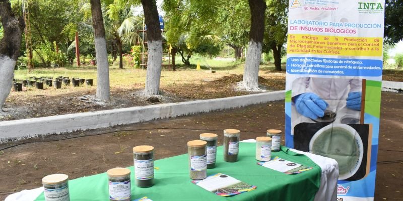 Más de 45,000 jóvenes y productores se capacitarán con el Programa Educación Técnica en el Campo