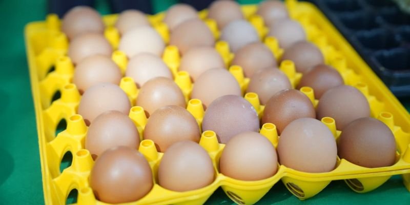 Escuelas de Campo fortalecerán la producción agropecuaria en 2026 con atención a más de 45 mil protagonistas