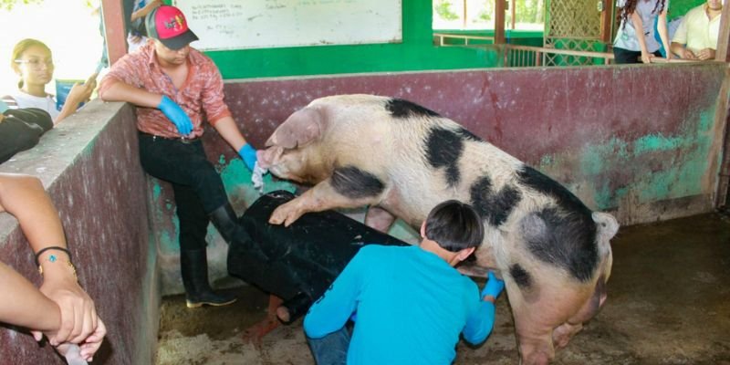 Jóvenes descubren su vocación en el  corazón agropecuario de Nicaragua