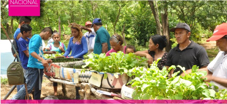 Educación Técnica en el Campo una oportunidad para aprovechar