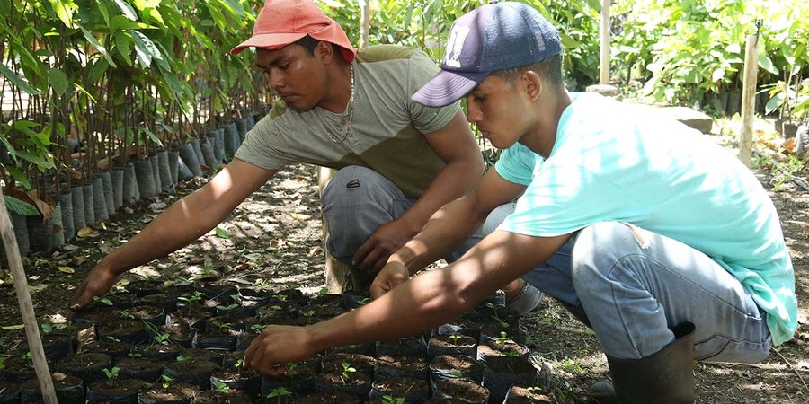 Sexta Edición de las Escuelas Técnicas de Campo en Rivas