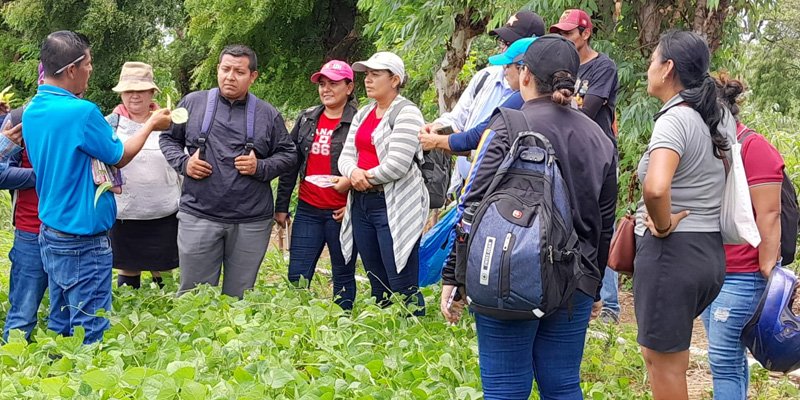 ¡Agricultura sostenible! Un recorrido por las unidades productivas del Centro Tecnológico Manuel Landez Rojas