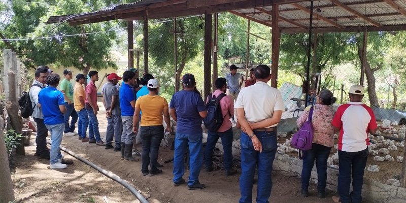 ¡Agricultura sostenible! Un recorrido por las unidades productivas del Centro Tecnológico Manuel Landez Rojas