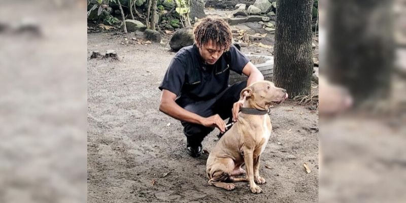 Yasser Somarriba: De la pasión  por los animales a una carrera exitosa