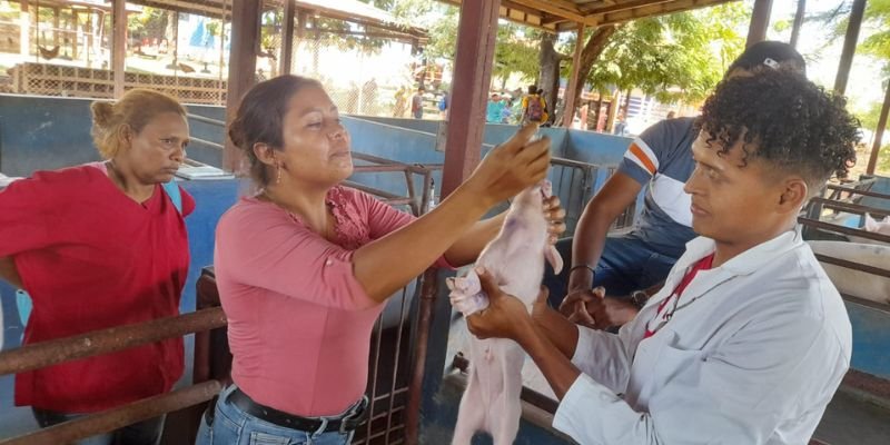 Yasser Somarriba: De la pasión  por los animales a una carrera exitosa